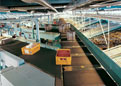 Leuze Identification Systems